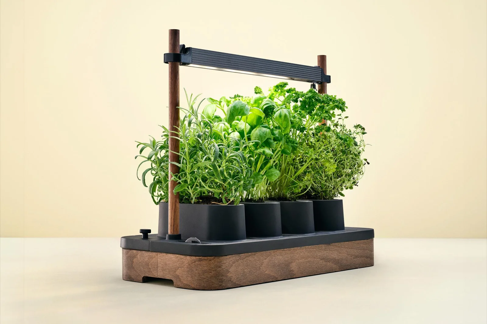 Sustainable Indoor Gardening Starts with Auk Mini
