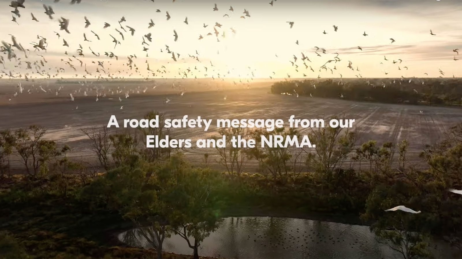 First Nations Road Safety Campaign | Wisdom Rooted in Timeless Tradition