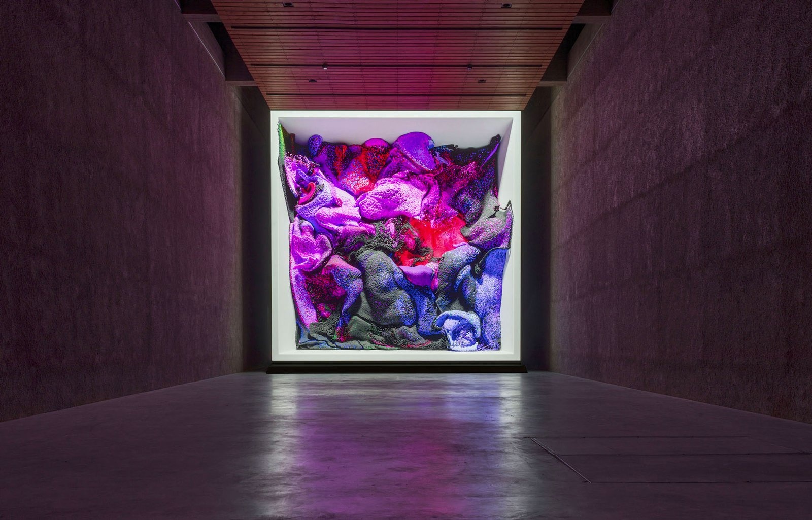 Machine Hallucinations: Nature Dreams Lets You Look Through The Eyes Of An AI