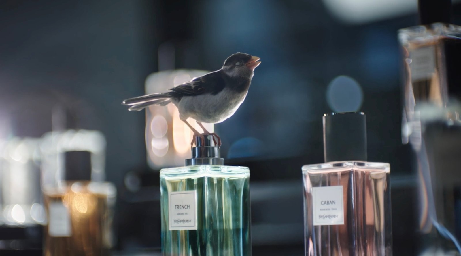 Only at de Bijenkorf | Animation Video Wins 2018 Muse Creative Awards