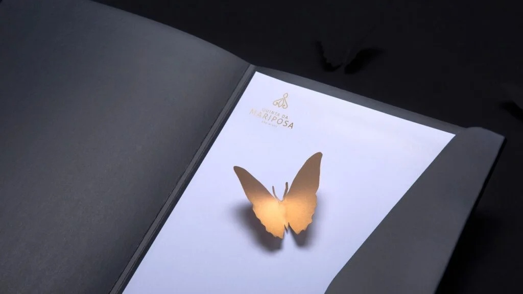 M&A Creative Agency | Branding Design Wins 2017 Muse Creative Awards