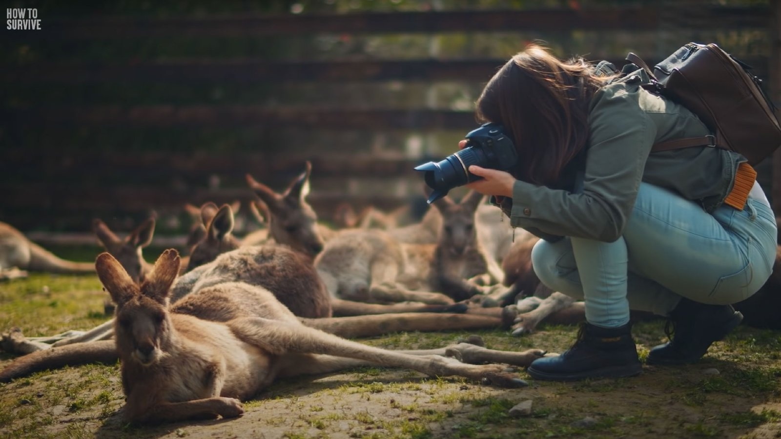 How to Survive – The YouTube Channel That Teaches You To Survive Anything!