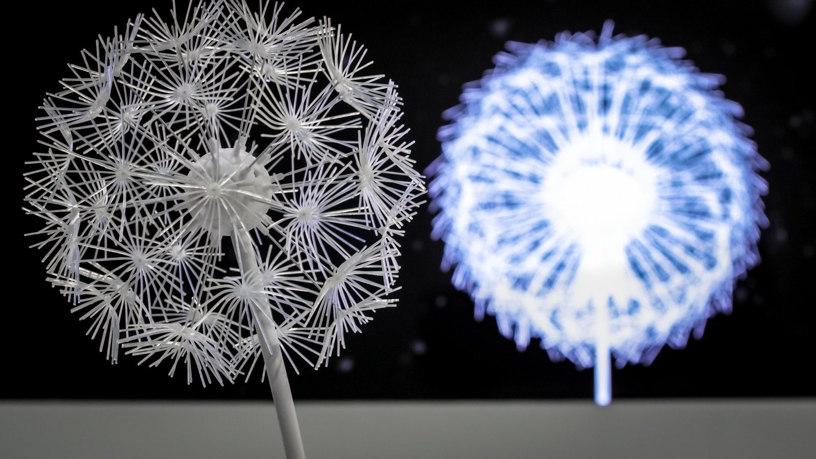 Delacon Dandelion Won Many Awards, and It’s Hard to See Why Not