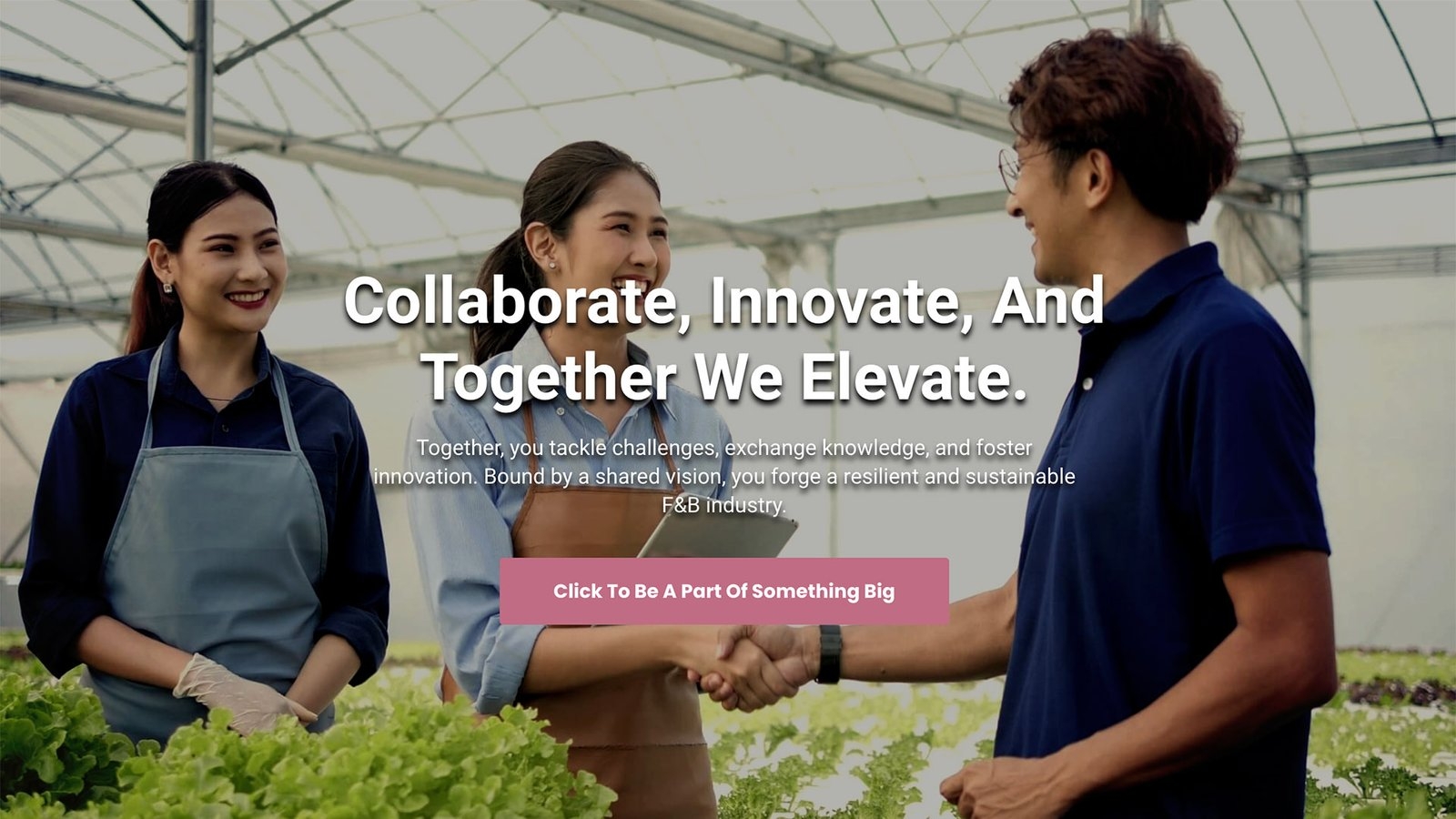 Sustainable Solutions with Farm to Plate