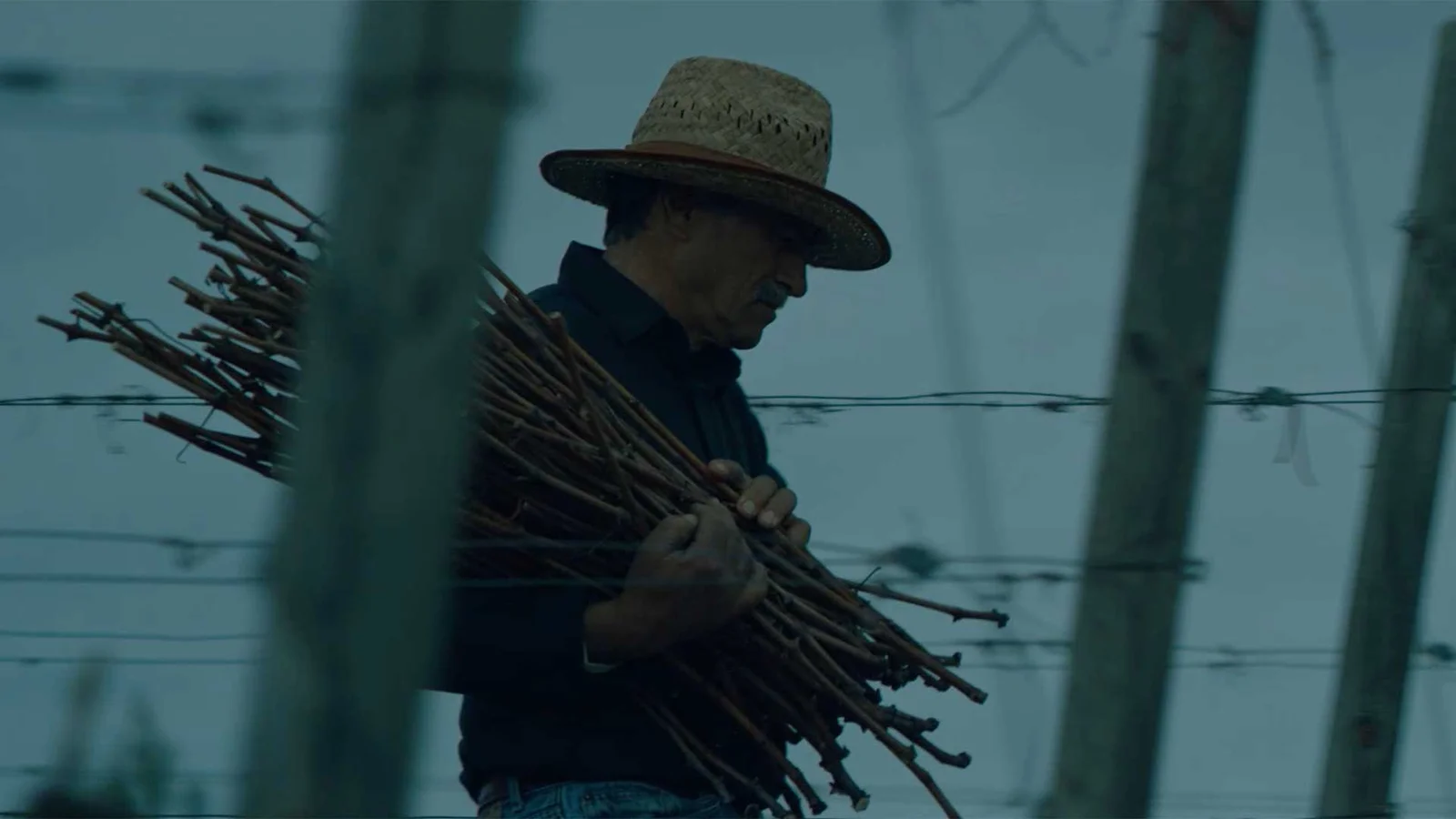 A Sip of History and The Rest is History Elucidated by SEMIO Productions 