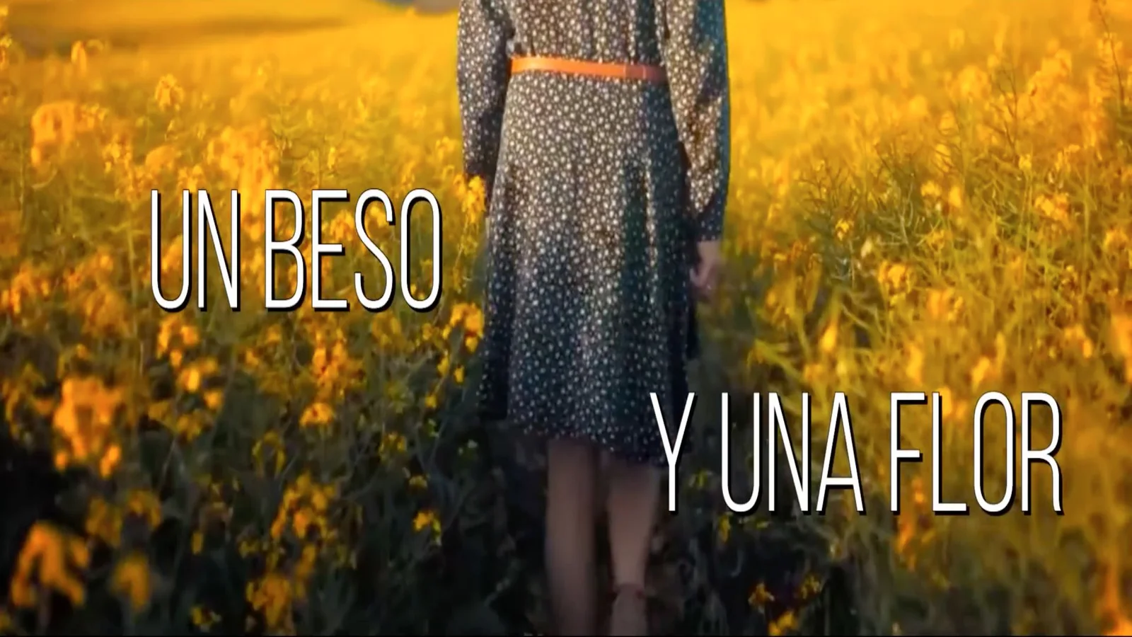 Eleazar Mora’s “A Kiss and a Flower” – A tribute to Nino Bravo