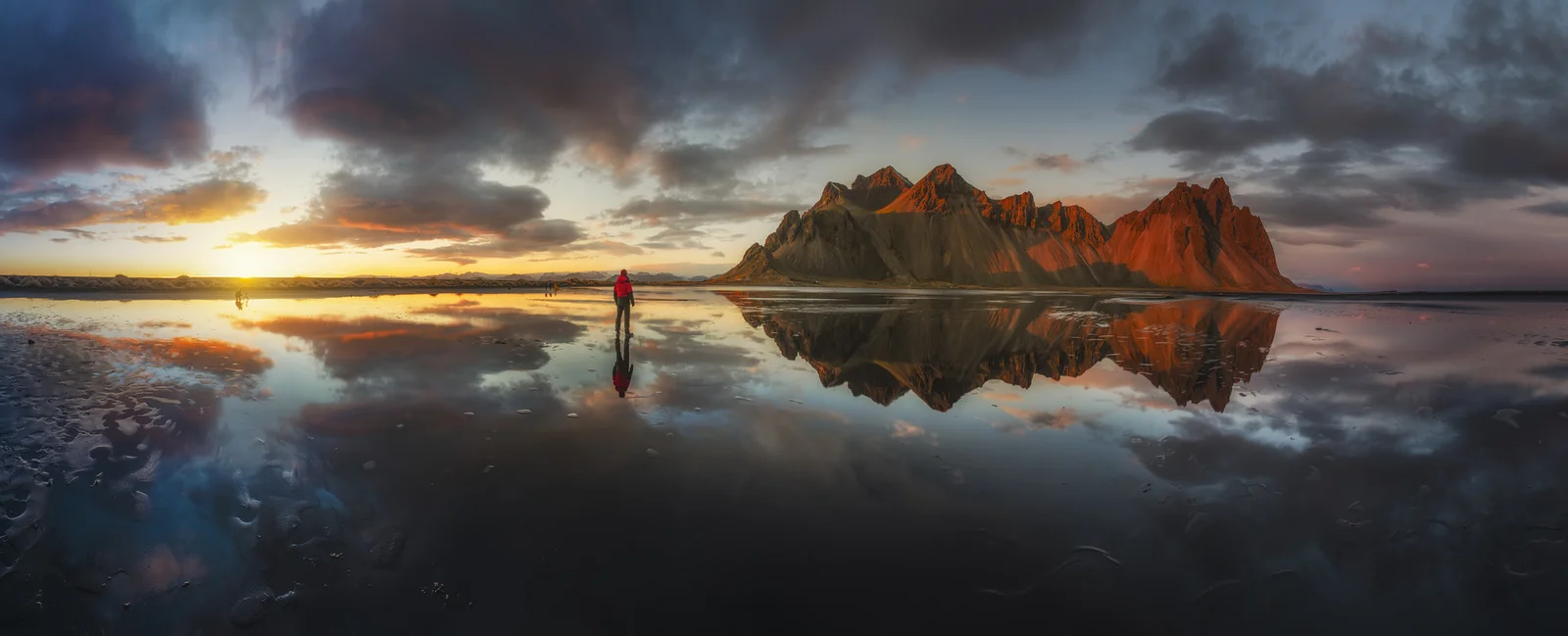 The Dream Trip | Nature’s Silent Witness