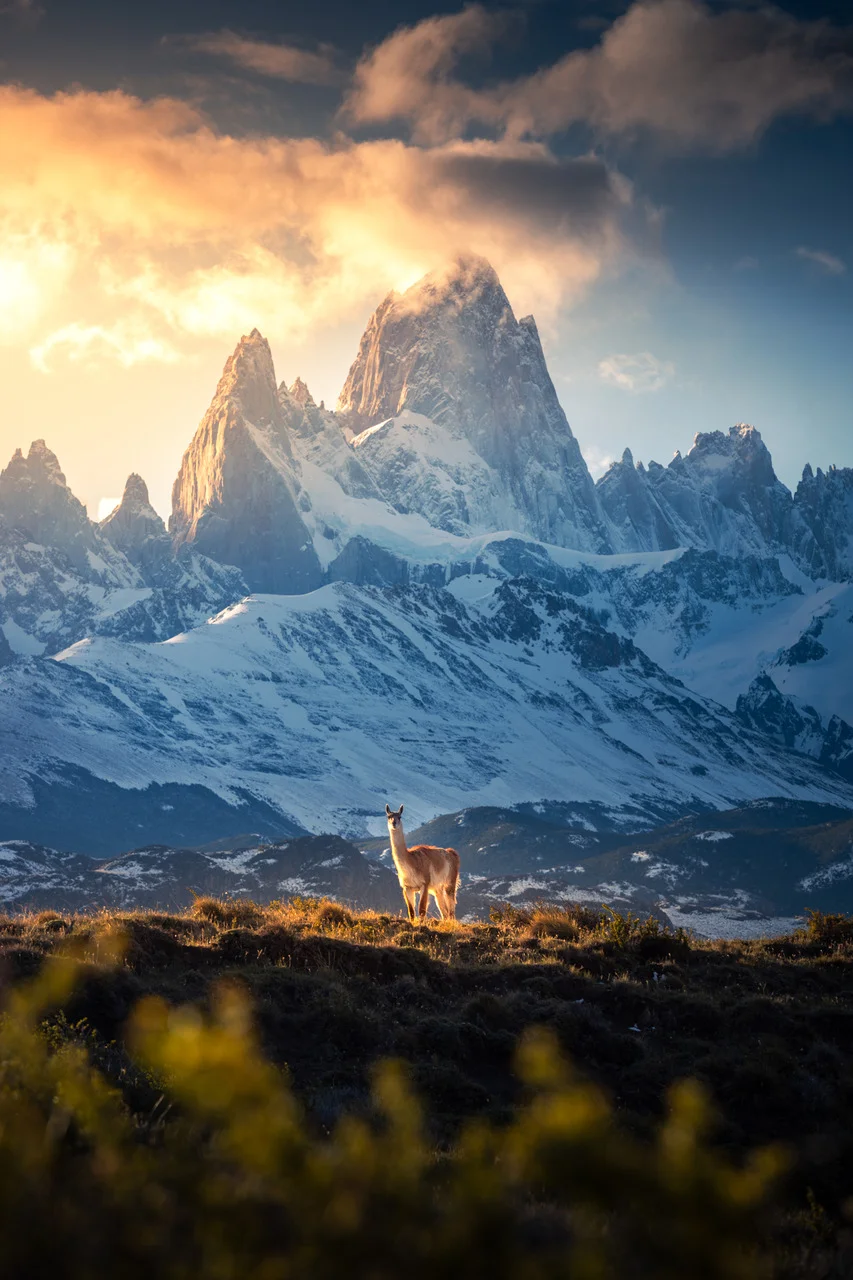The surprise of life | A Serendipitous Encounter in Patagonia