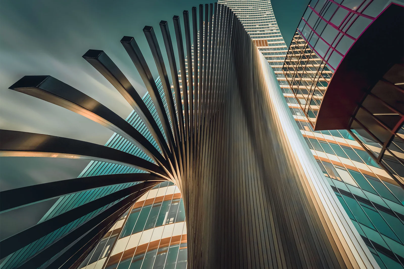 Winged | A Photograph by Anna Wacker