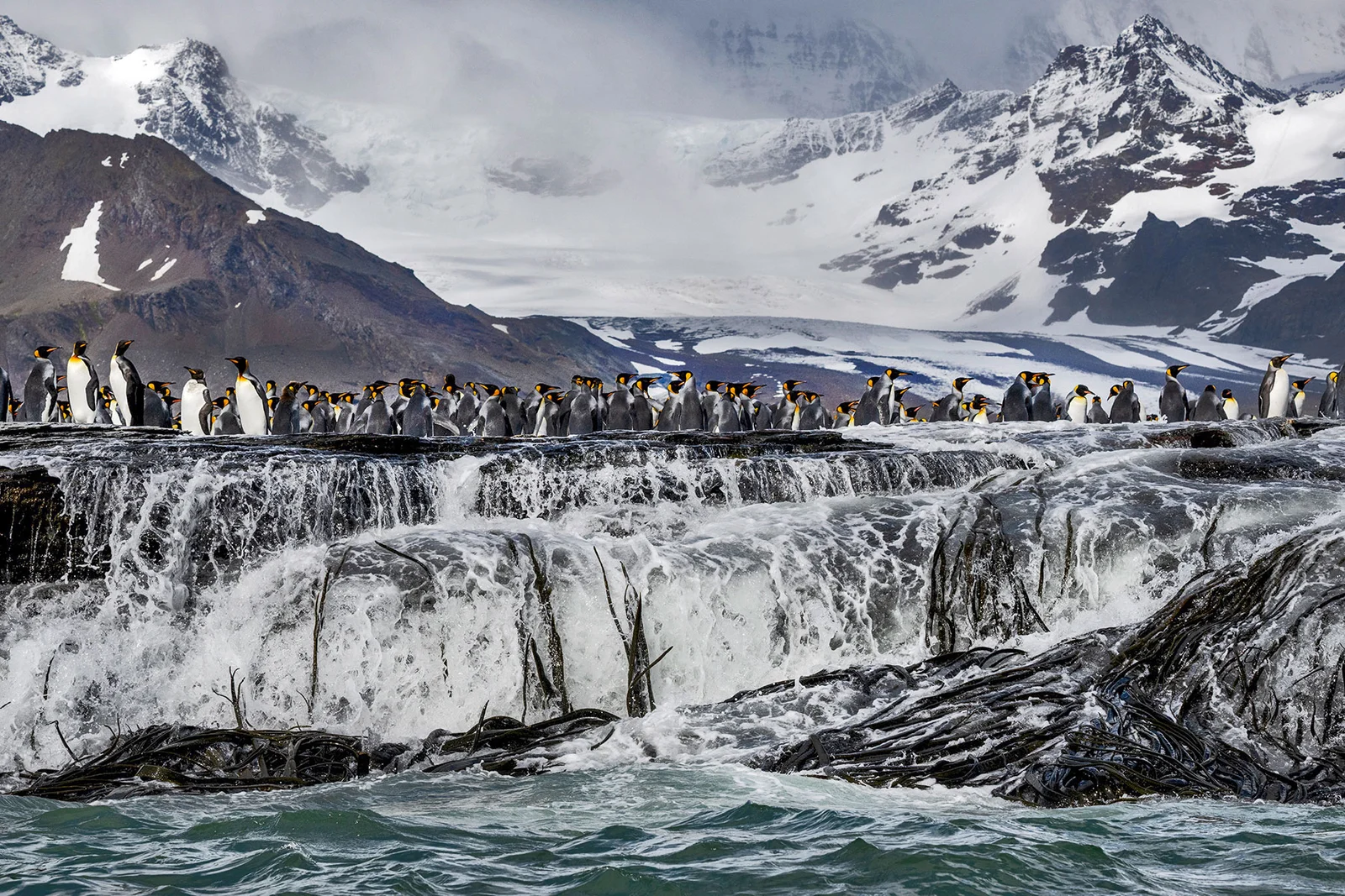 Gold Harbour Magic by Michelle Valberg | Invitation to a World of Nature’s Grandeur