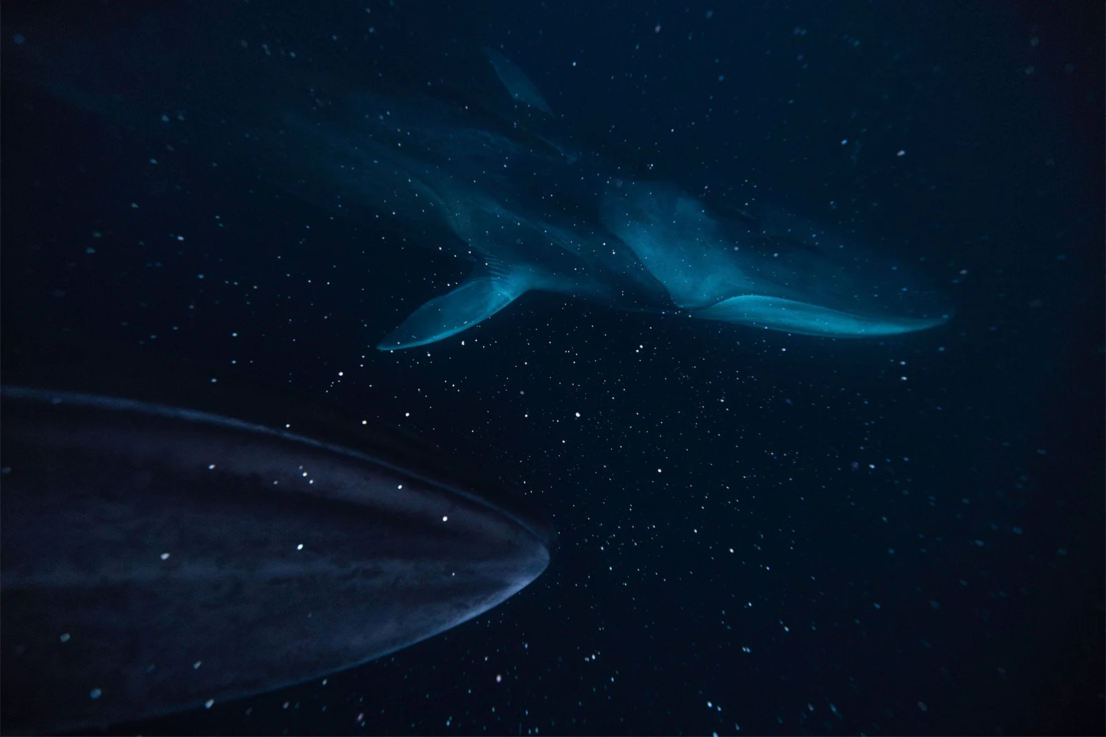 Starcruisers | Galaxy Under the Ocean