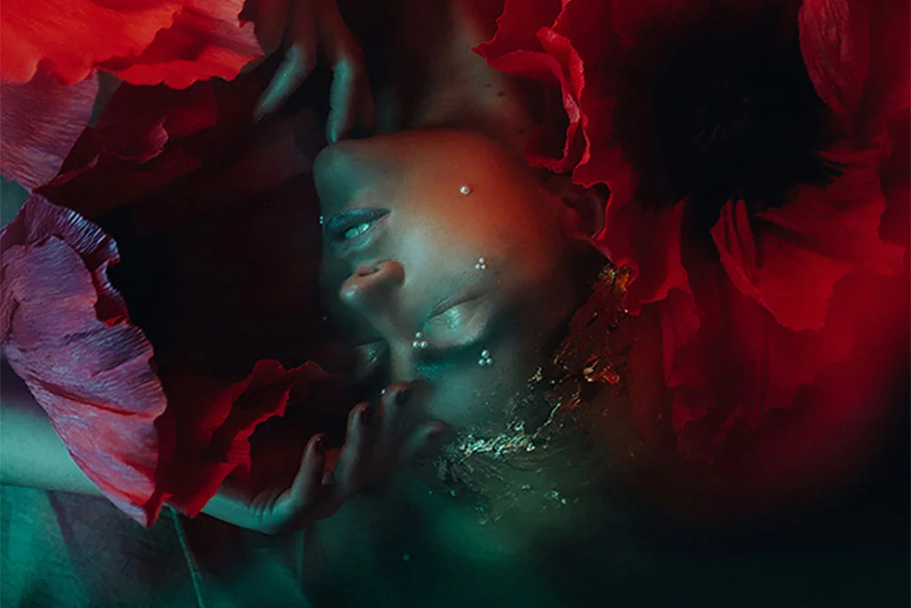 Passion by Sonka Skerik