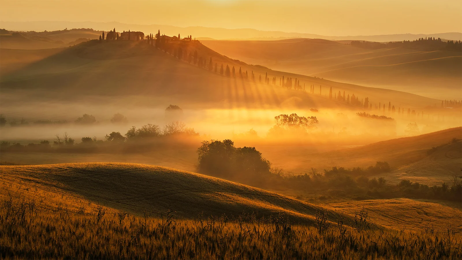 Tuscany Morning | A Quiet Dawn