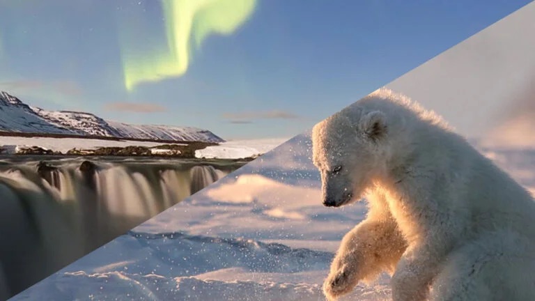 The Exceptional Photographers of the Year from the 2023 MUSE Photography Awards