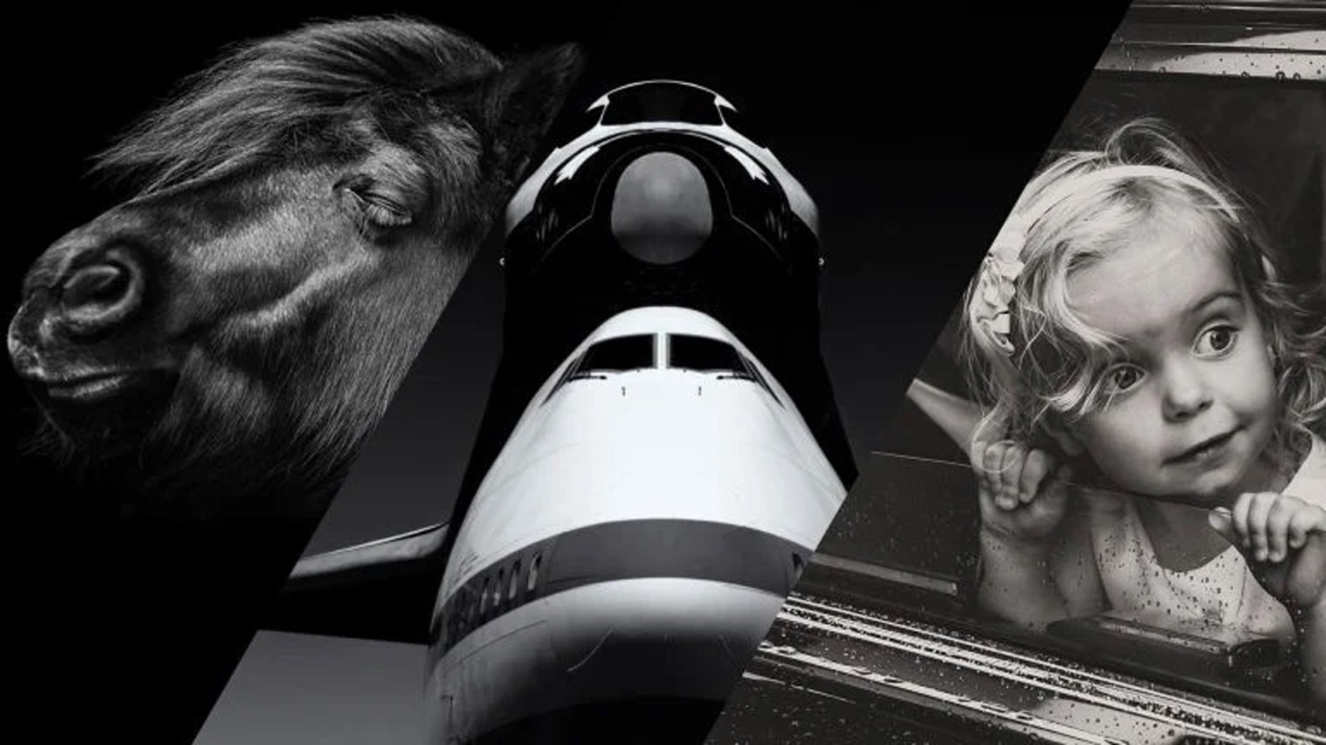 The Beauty of Black and White from 2023 MUSE Photography Awards