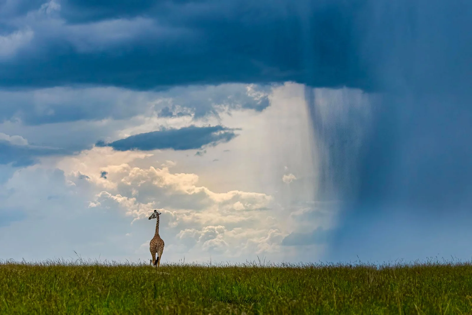 Nature in Ever-Brilliance Captured by Nitin Michael