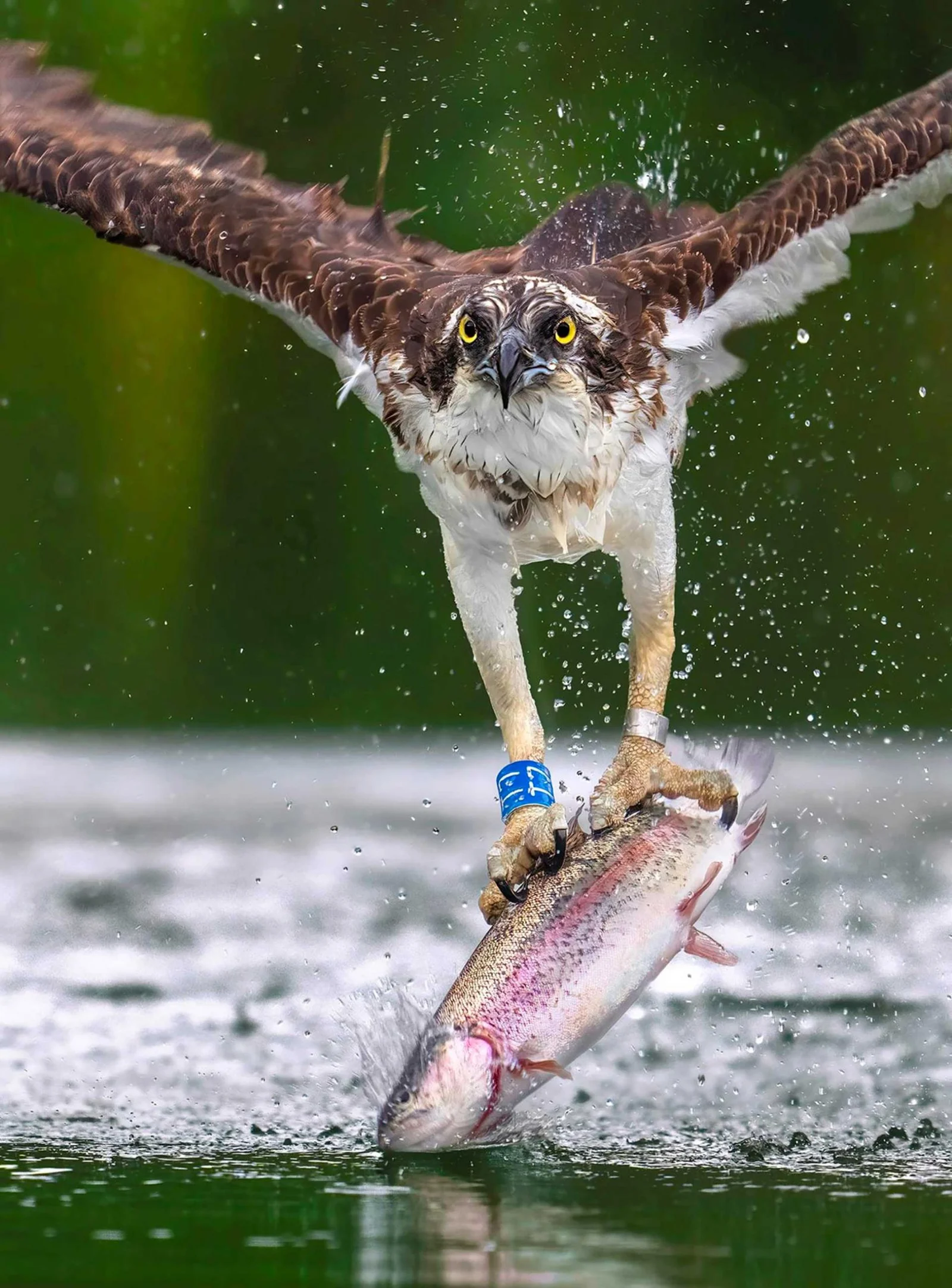 Exquisite Imageries and their Photographers Of London Photography Category