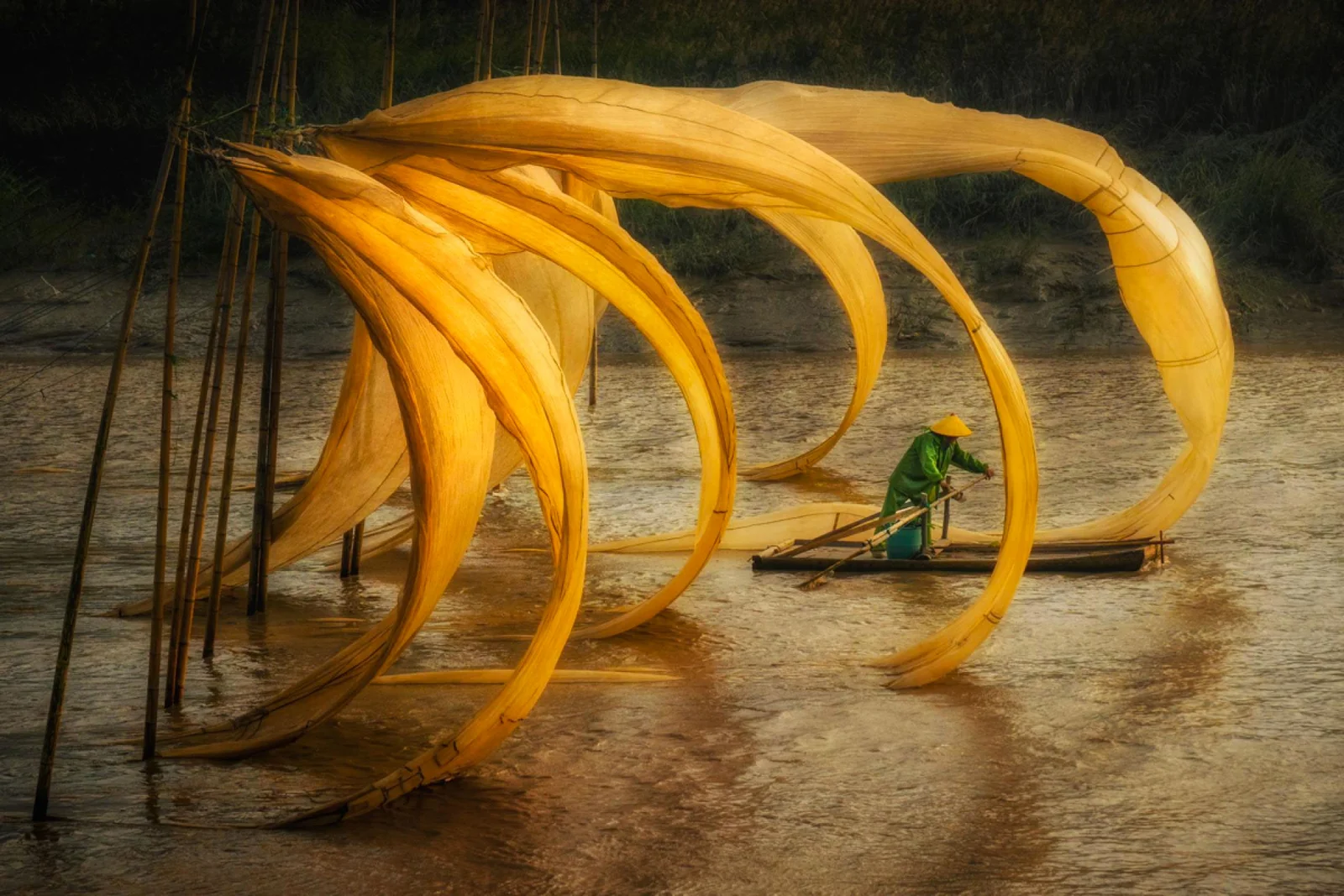 MUSE Editorial Photographers Shaping A Documented Phenomenon