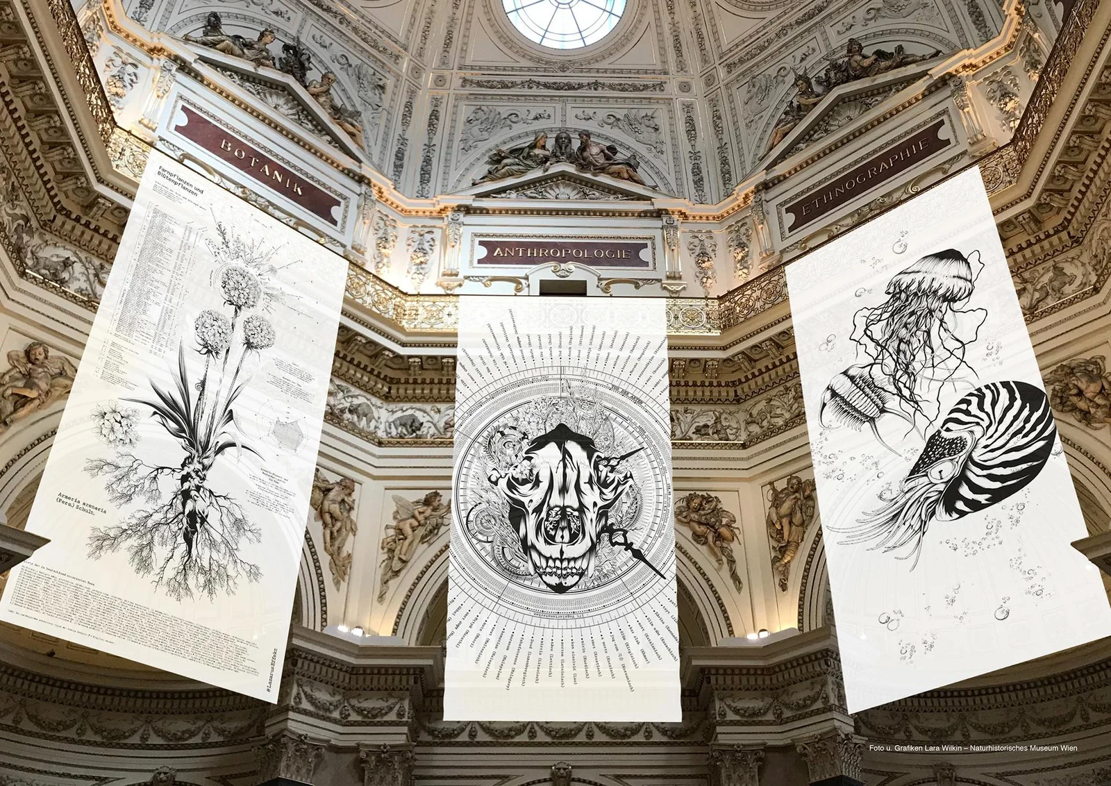 Lazaruseffekt | Germany’s Campaign Awareness of the Flora and Fauna