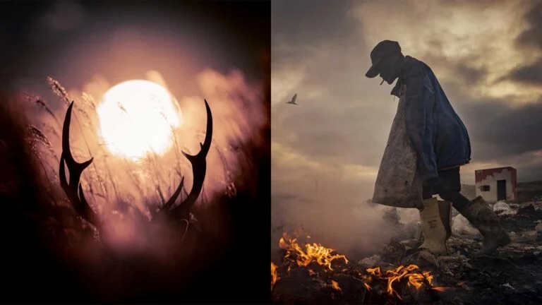 Honoring the 2024 MUSE Photography Awards Photographers of the Year