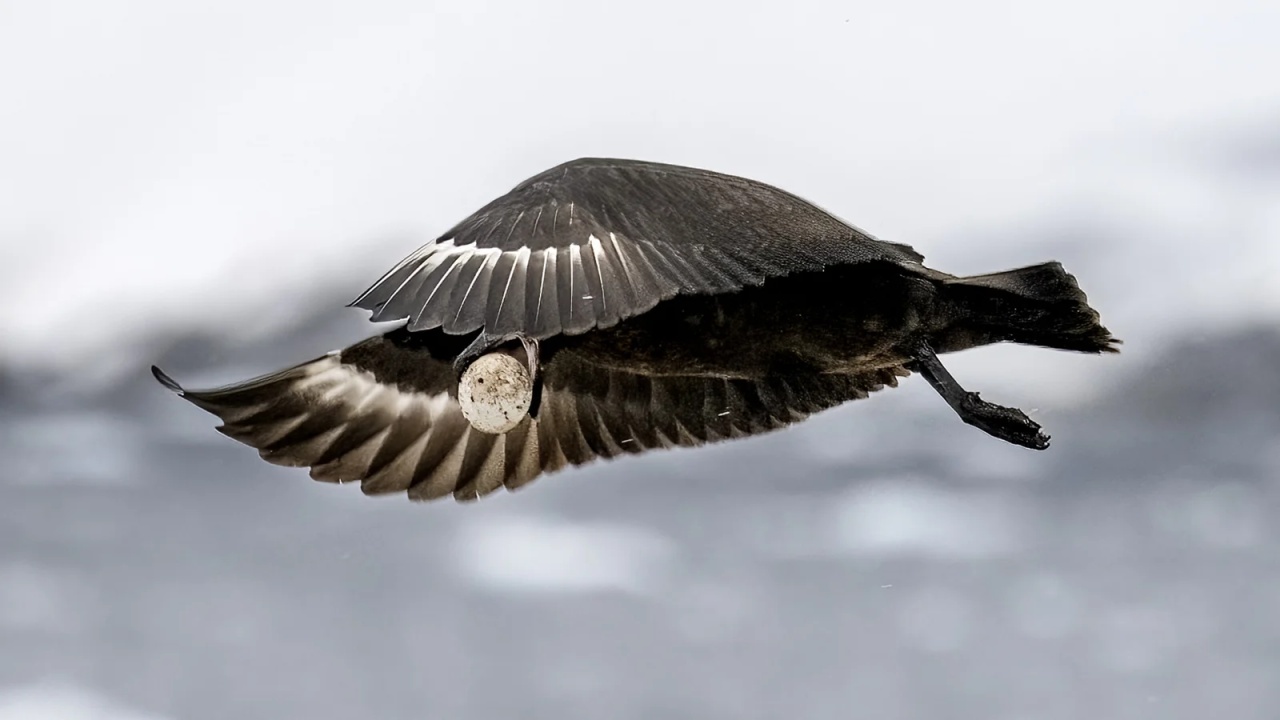 The Winning Prize: The Art of the Hunt