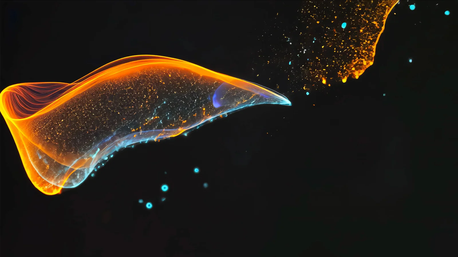 Aurava: The Future of Collective Grief Healing