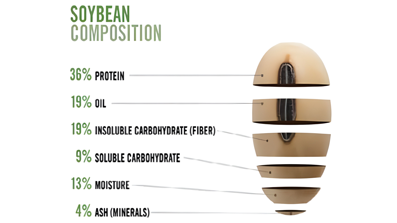 Soy-Based Inks: Zero Petroleum, Full Performance
