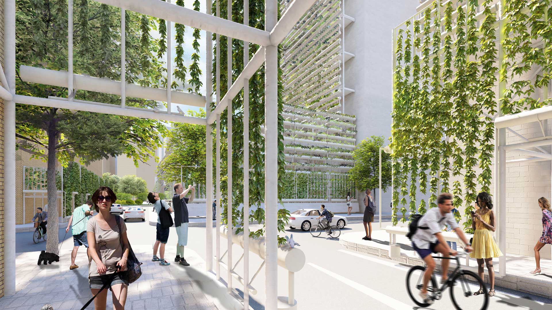 Urban Vine: Reimagine the Scaffolding as a Repair Opportunity
