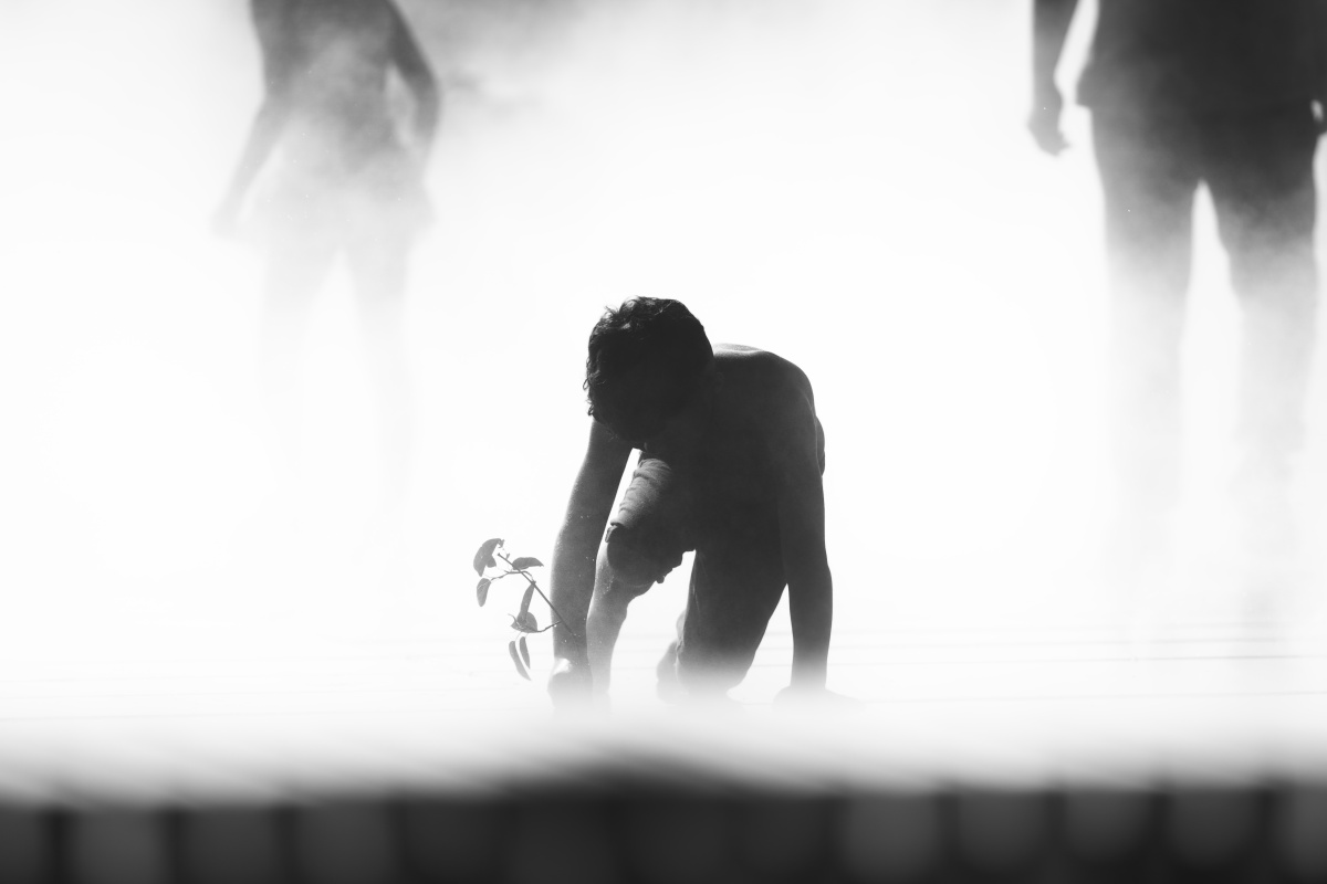 Whispers in the Mist