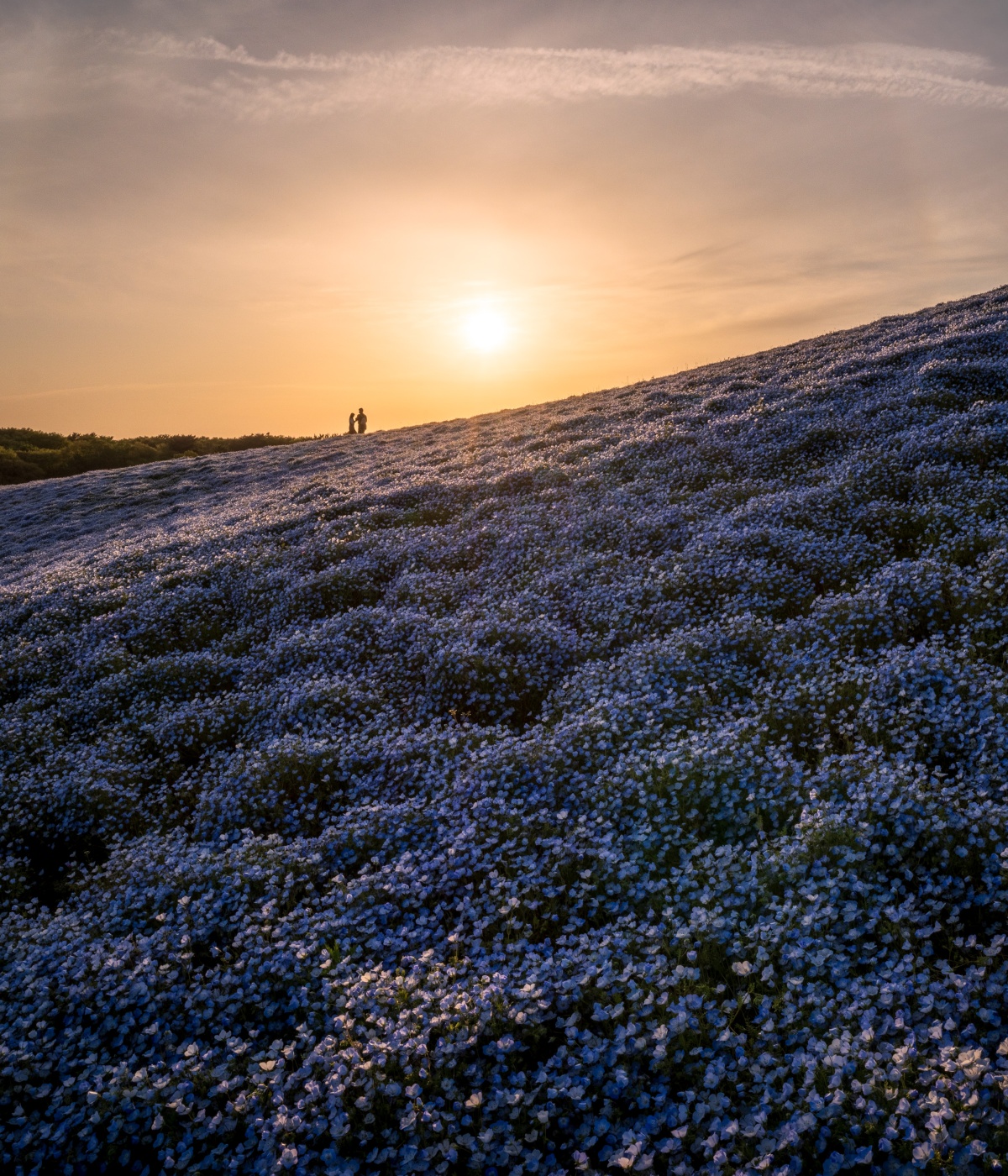 A Love Story on the Everlasting Hills