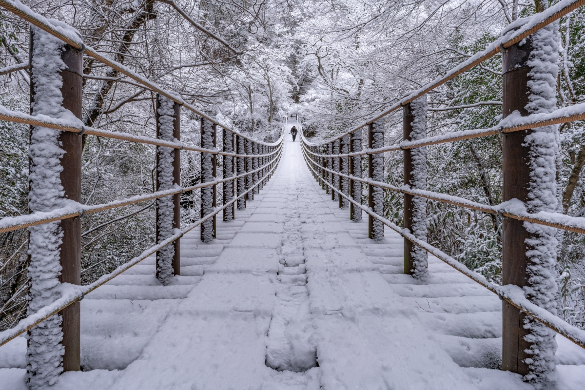 Monochromatic Silence