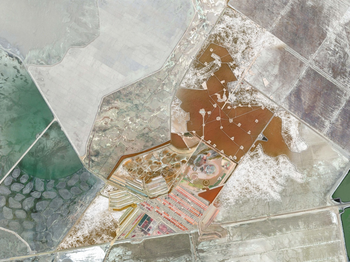 Saline Dreams: Ecologies of Coexistence