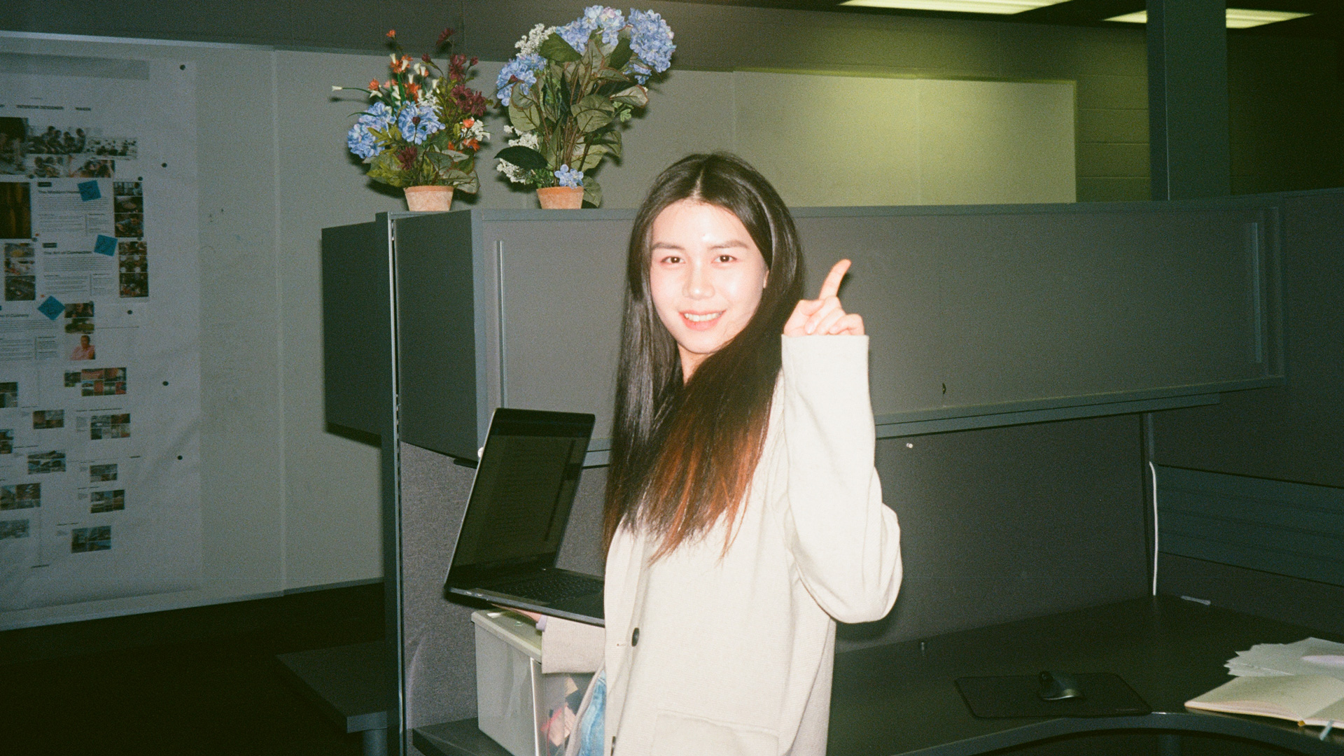 Suwenjing Reimagines Cat Furniture with Shed or Tree