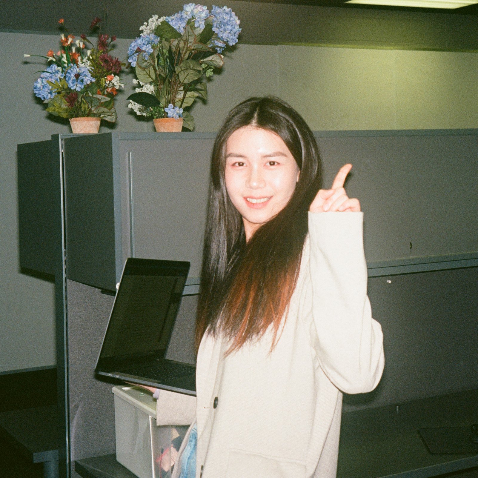 Suwenjing Reimagines Cat Furniture with Shed or Tree