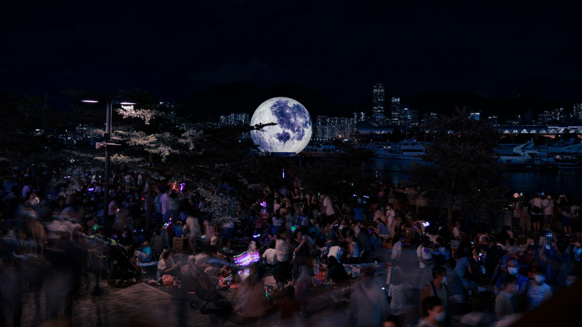 Festival Moon Picnic
