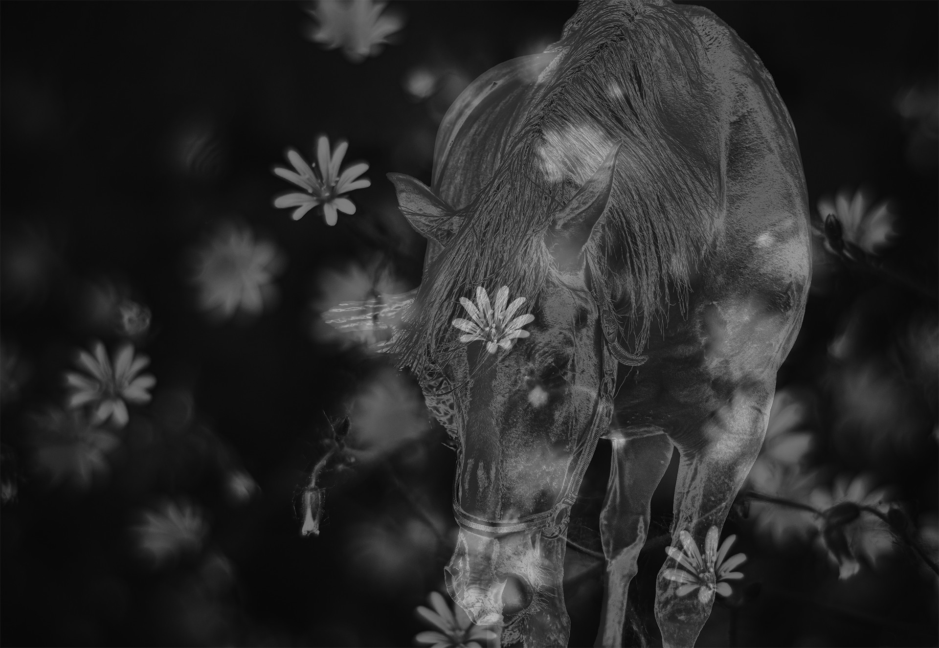 Whispers of Grace