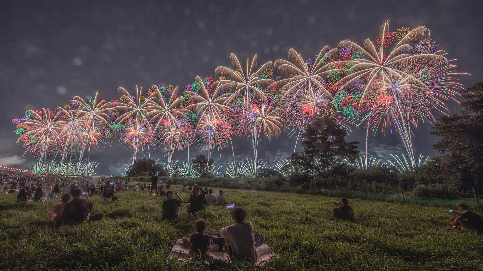 Nagaoka Fireworks Phoenix