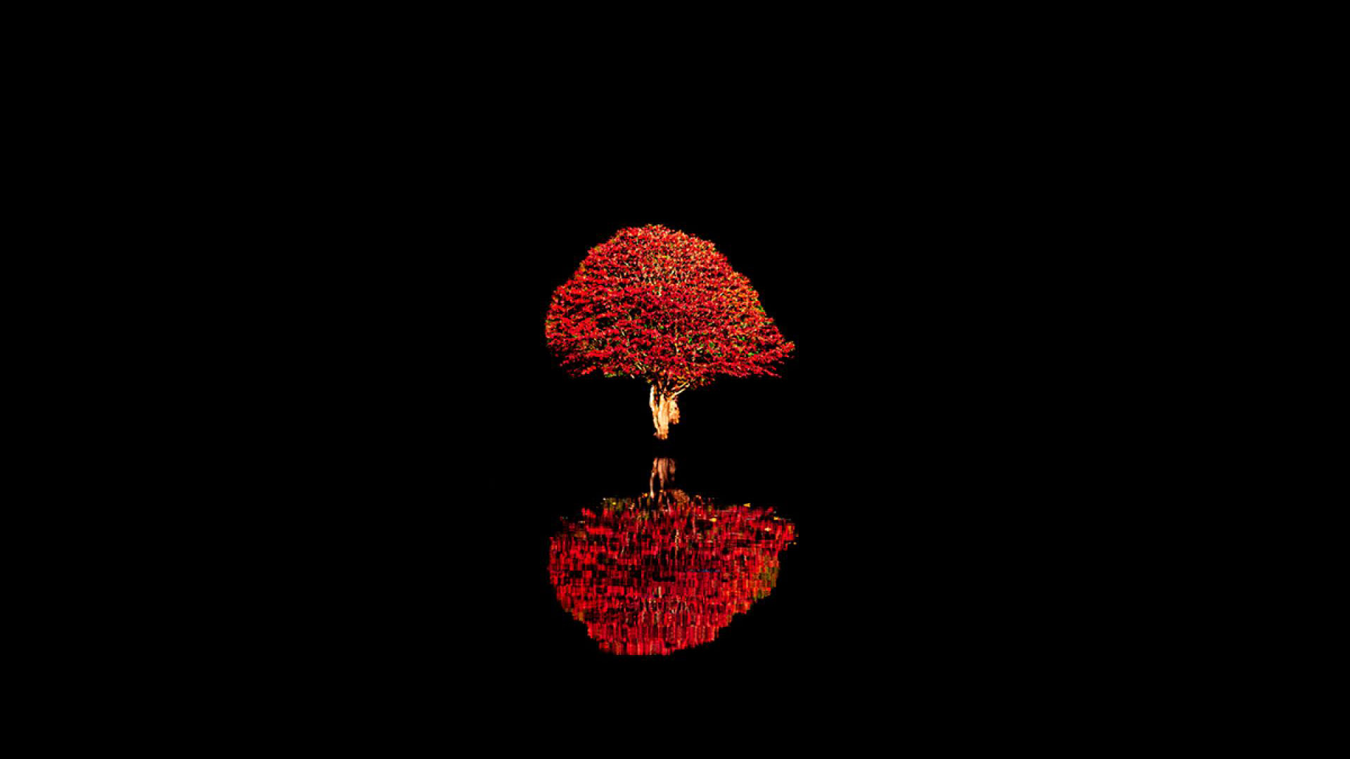 Reflect into Darkness