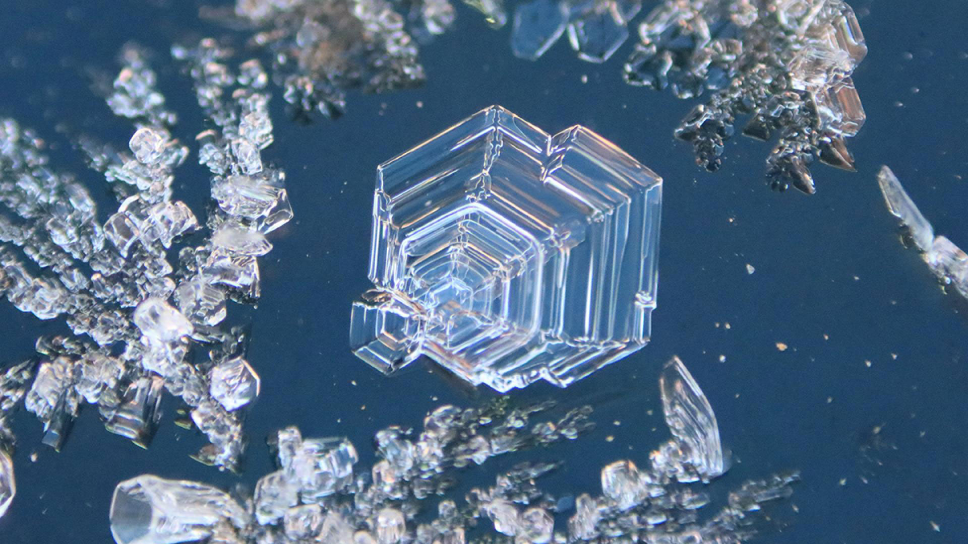 Birthday's Surprise Frost