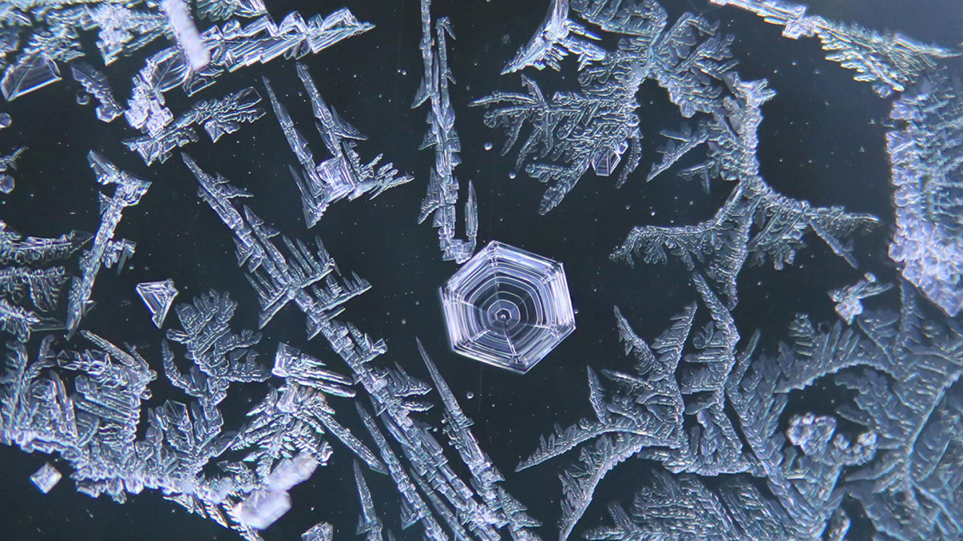 Frosty Trails