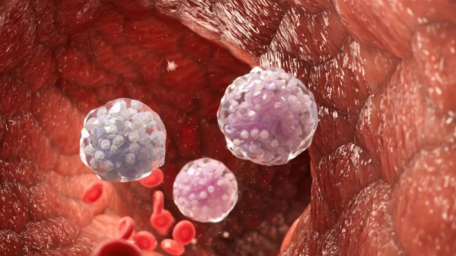 Inside Immune System: Granulocytopoiesis Explained in 3D
