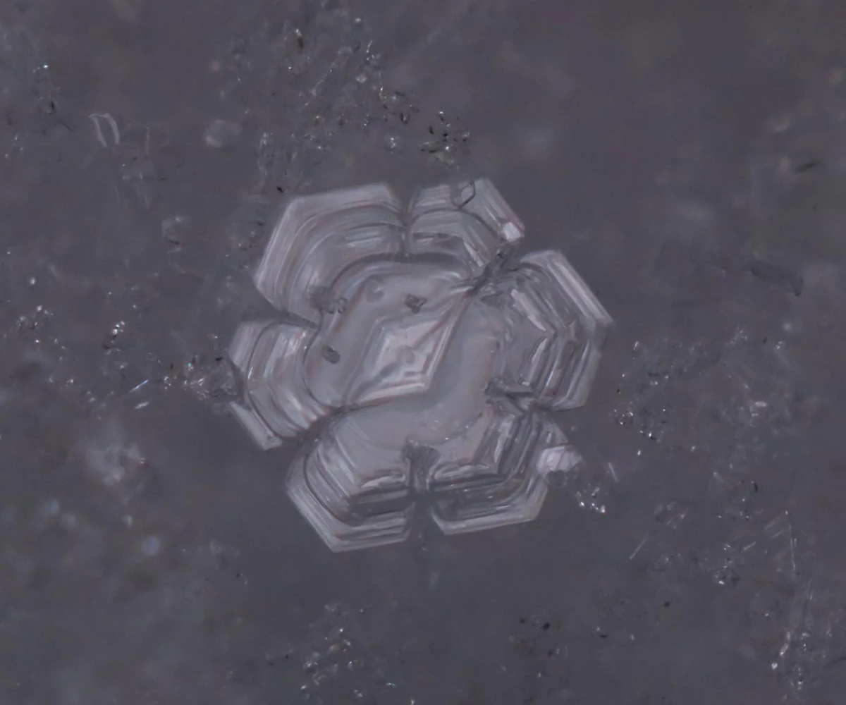Snowflake Duckie