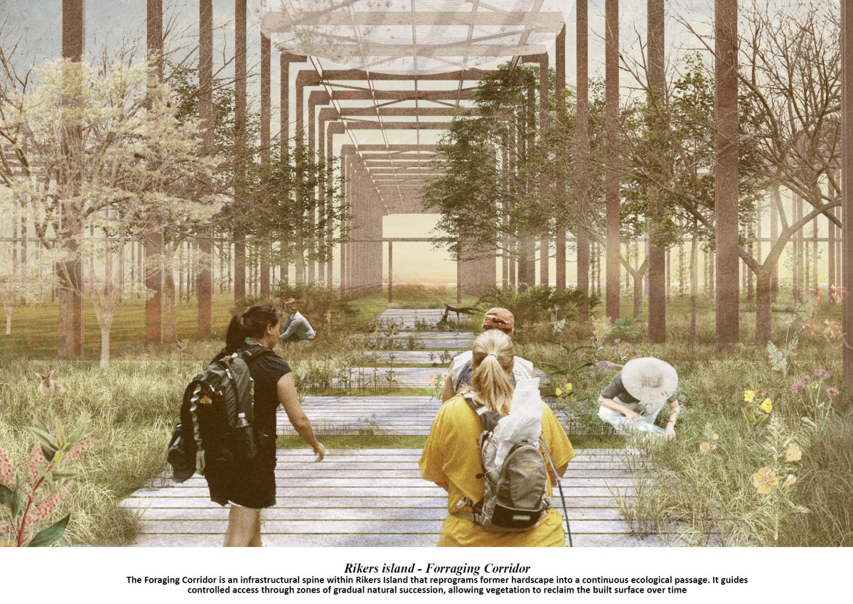 Reimagining South Bronx through Urban Entropy Rewilding