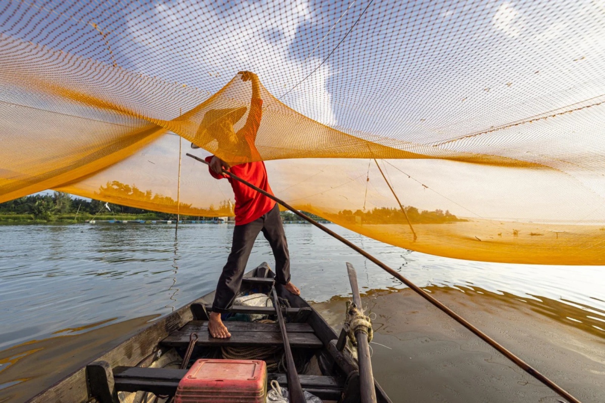 The morning catch