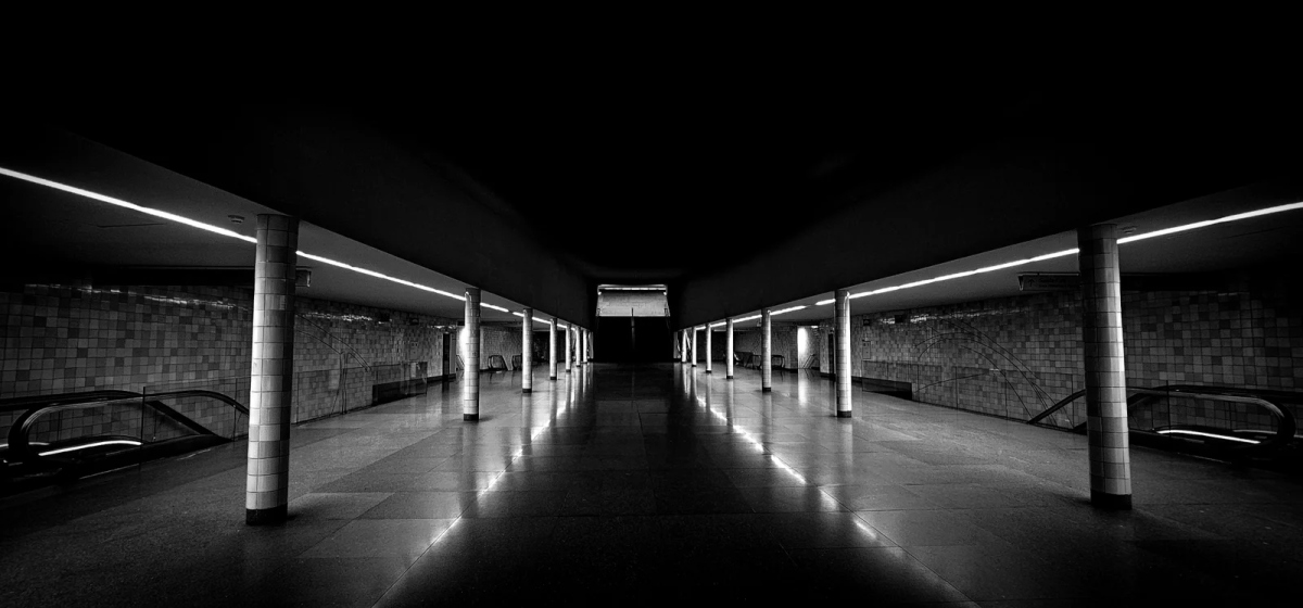 Path shaped by light