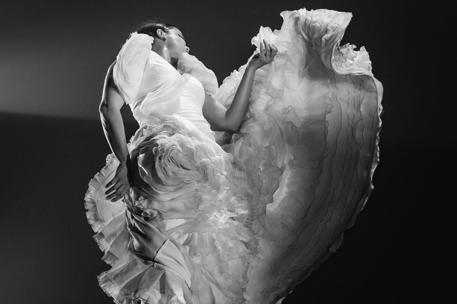 Dancing emotions at flamenco rhythm | 2024