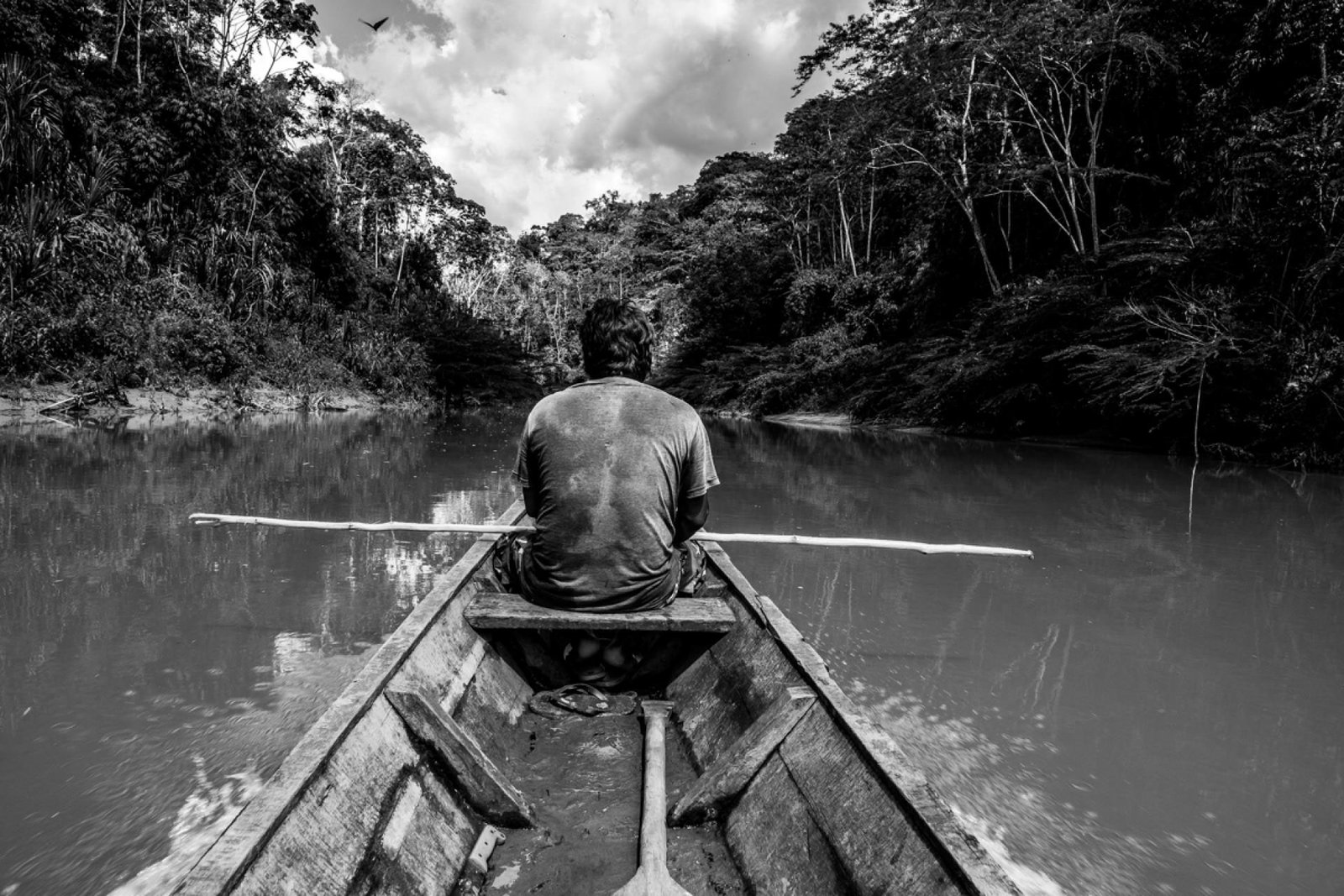 Last Wildest Place | 2024