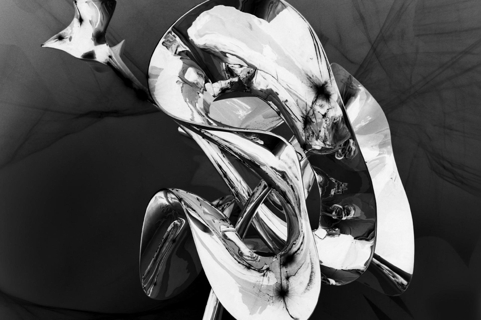 Dandelion Fantasia I | 2024