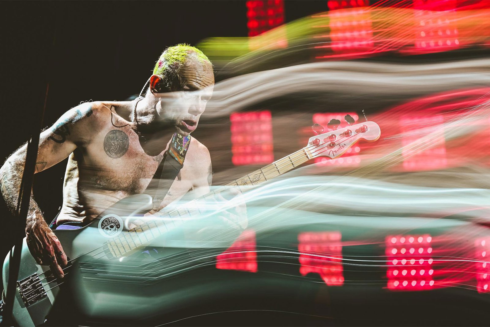 Just FLEA | MUSE Photography Awards