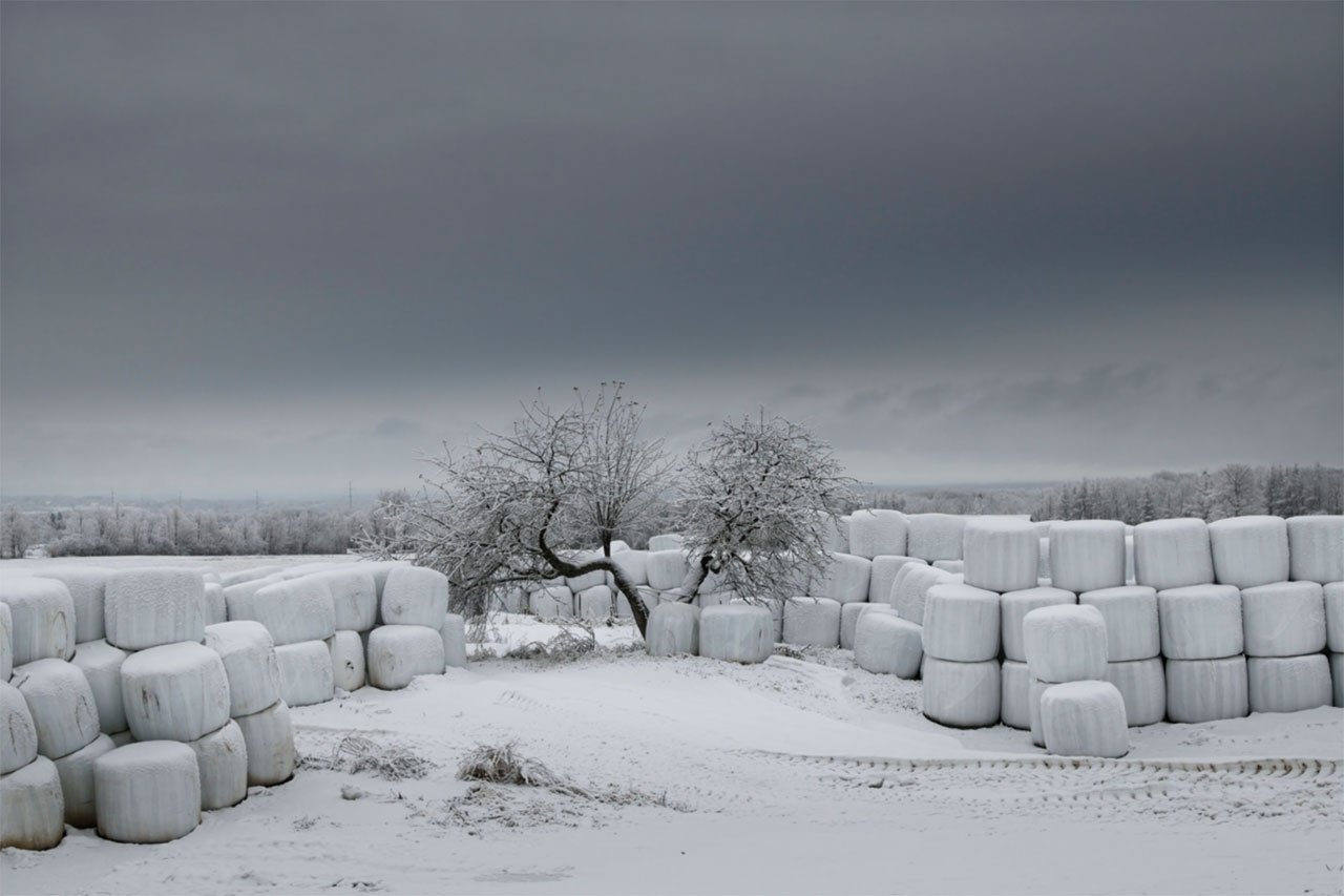 Winterizing Hay Bales | London Photography Awards